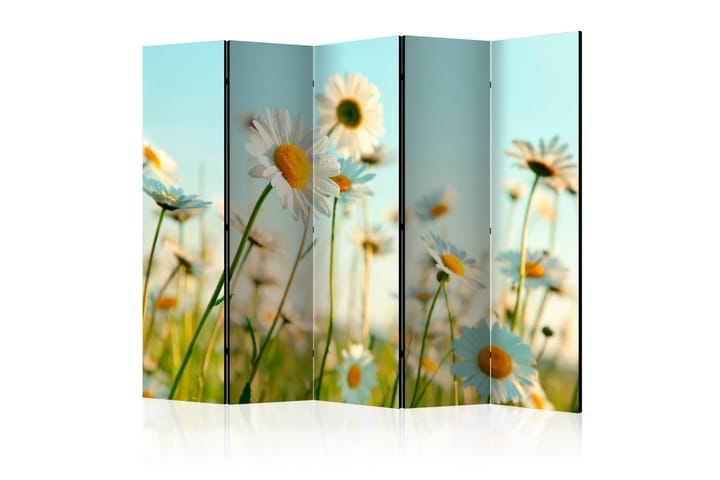 Tilanjakaja Daisies - spring meadow II 225x172 - Artgeist sp. z o. o. - Sisustustuotteet - Tilanjakaja & sermi