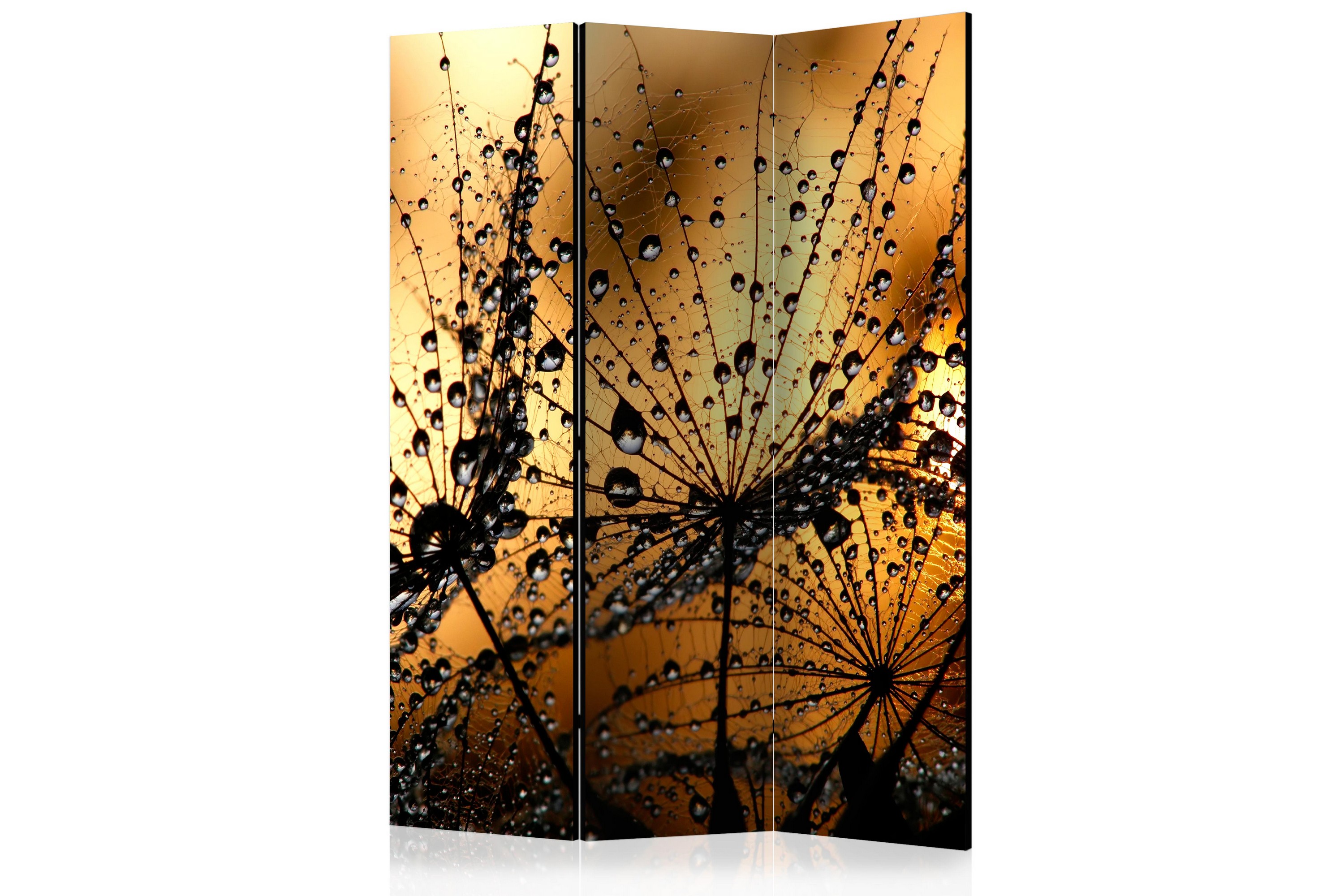 Tilanjakaja Dandelions In The Rain 135x172 - Artgeist sp. z o. o.