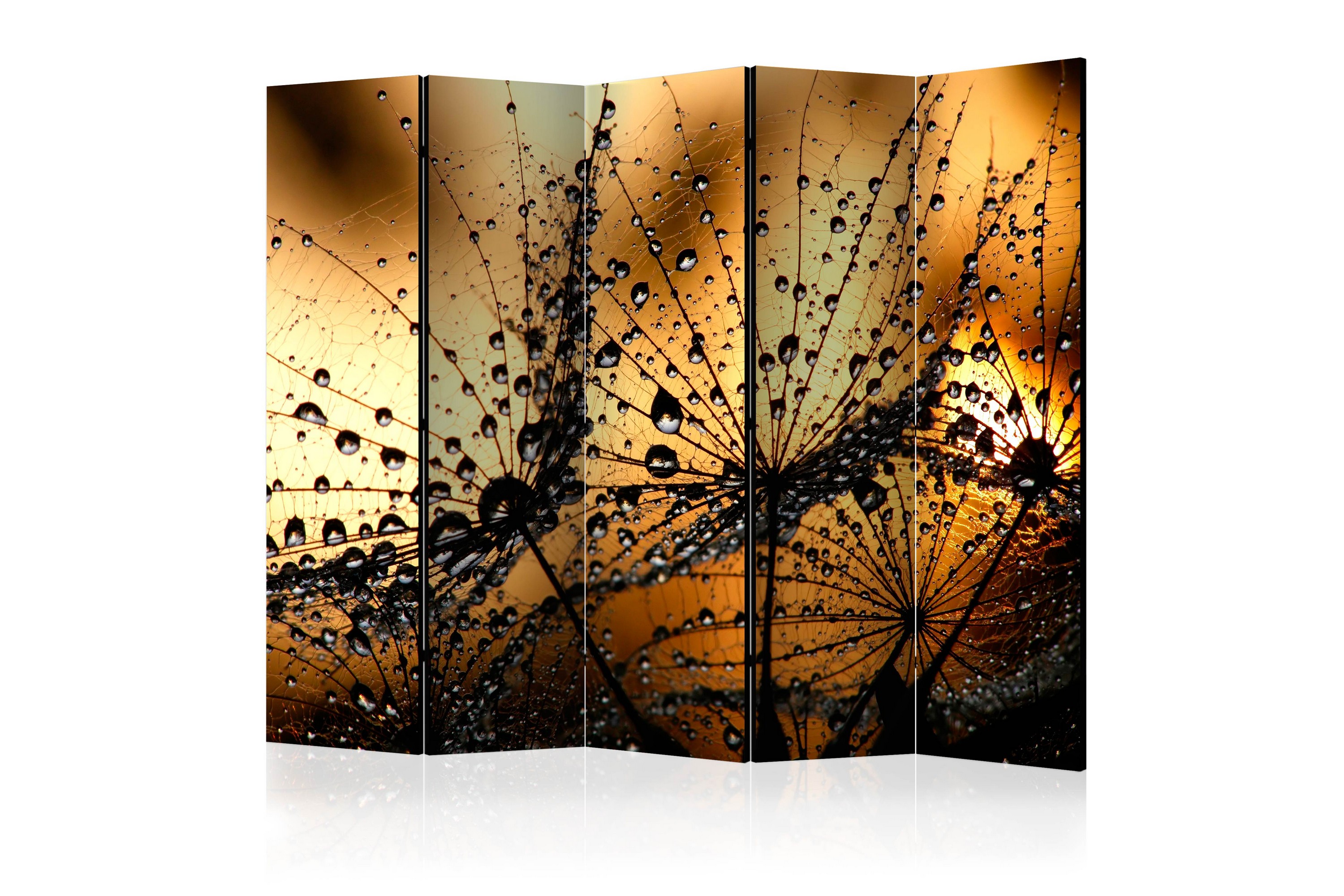 Tilanjakaja Dandelions In The Rain 225x172 - Artgeist sp. z o. o.