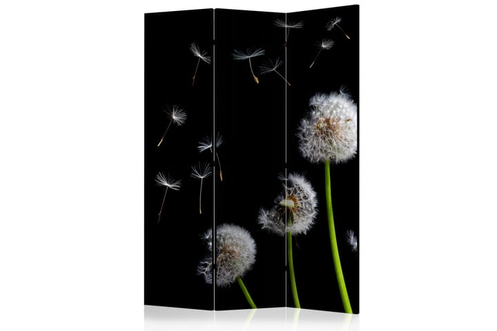 Tilanjakaja Dandelions in the wind 135x172 - Artgeist sp. z o. o. - Sisustustuotteet - Tilanjakaja & sermi