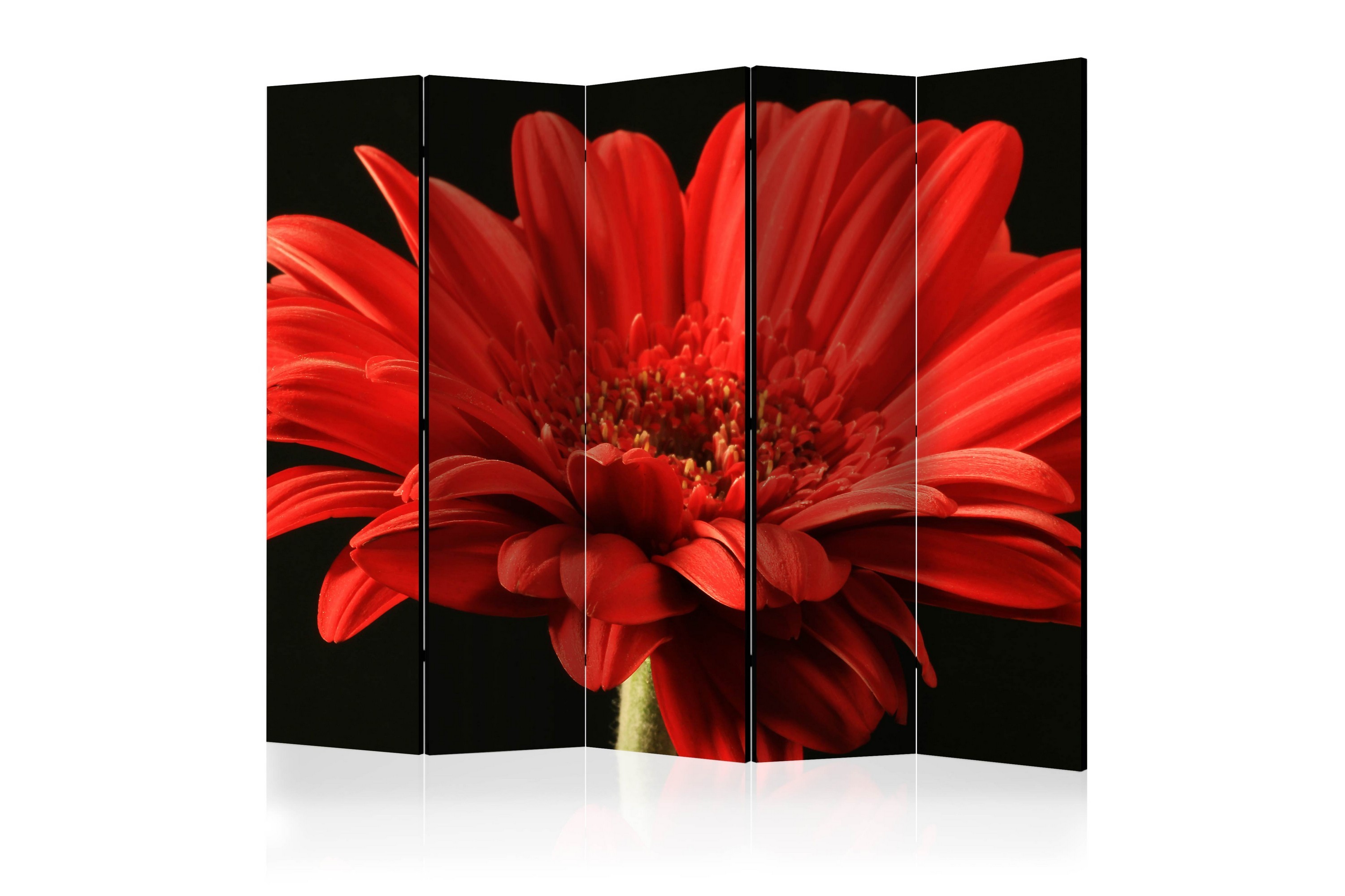 Tilanjakaja Red gerbera flower II 225x172 - Artgeist sp. z o. o.