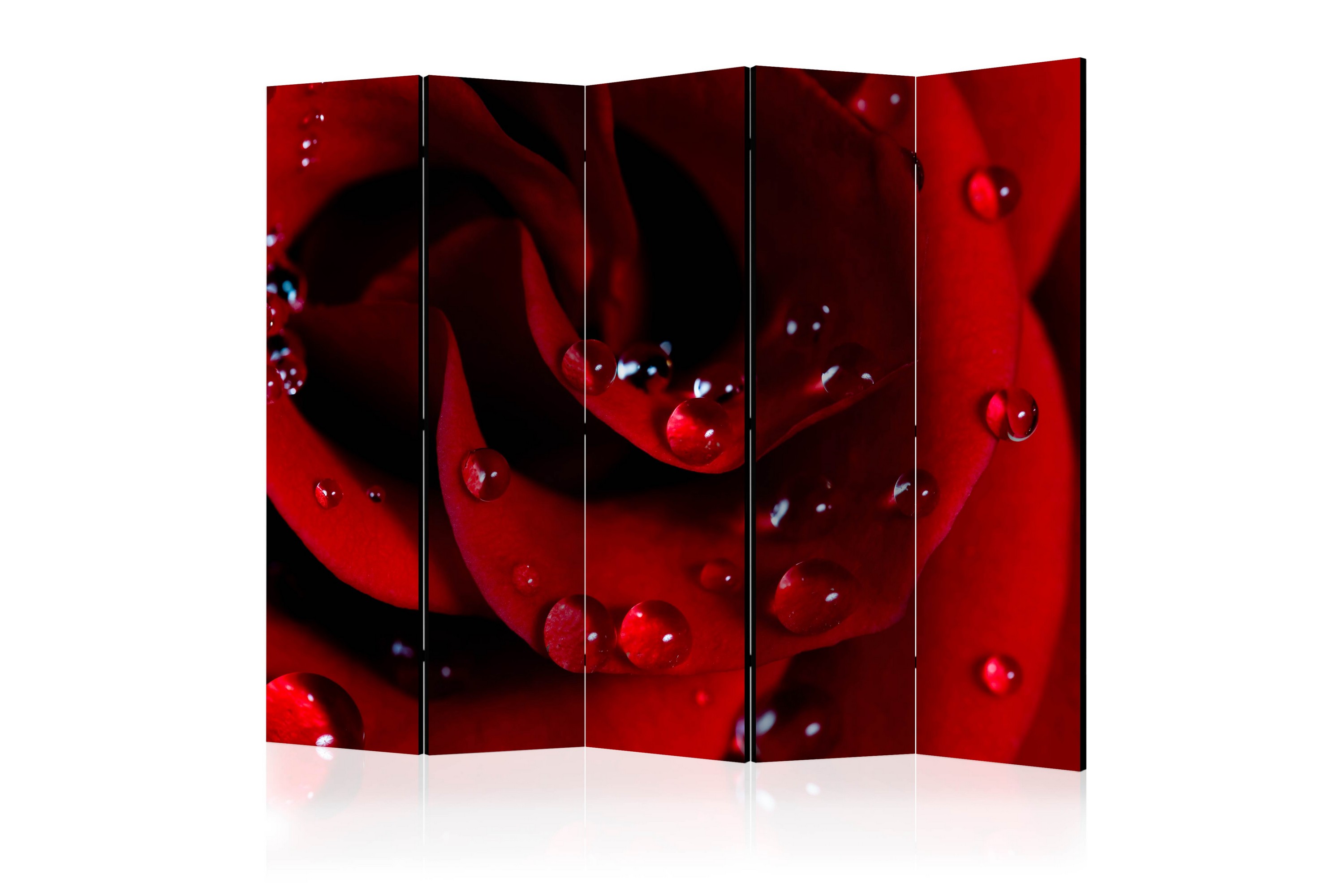 Tilanjakaja Red rose with water drops II 225x172 - Artgeist sp. z o. o.