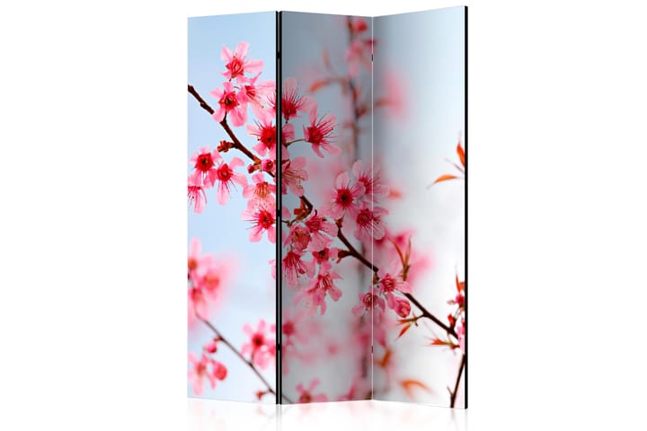 Tilanjakaja Symbol of Japan - sakura flowers 135x172 - Artgeist sp. z o. o. - Sisustustuotteet - Tilanjakaja & sermi