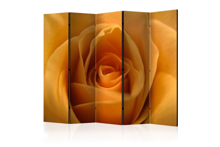 Tilanjakaja Yellow rose – a symbol of friendship II 225x1 - Artgeist sp. z o. o. - Sisustustuotteet - Tilanjakaja & sermi