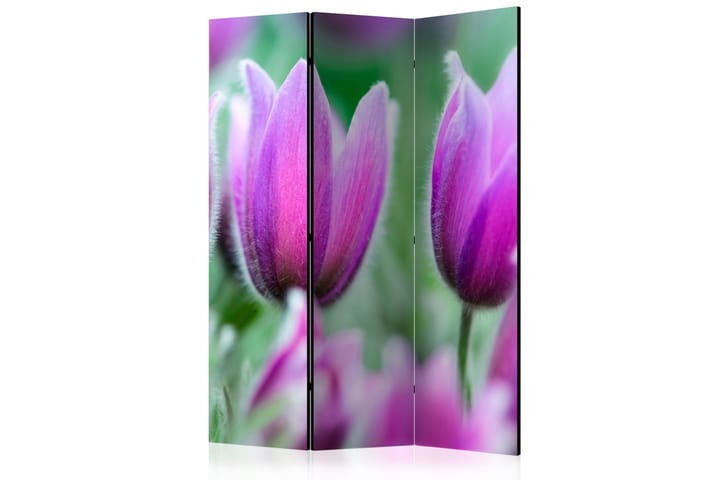 Tilanjakaja Purple Spring Tulips - Artgeist sp. z o. o. - Sisustustuotteet - Tilanjakaja & sermi