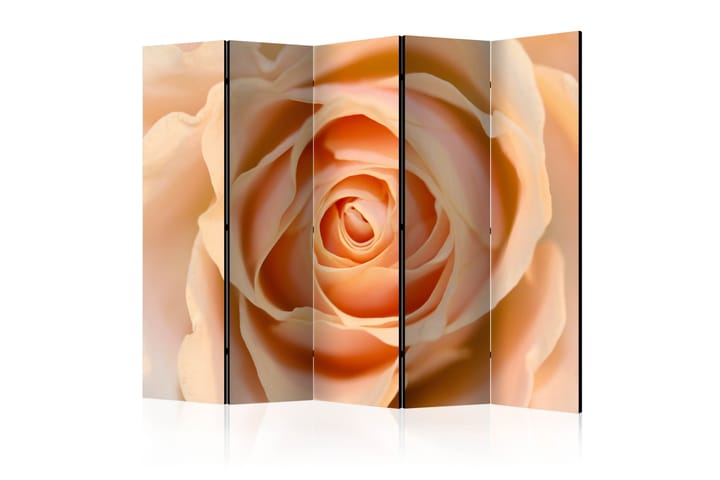 Tilanjakaja Peach-colored rose II 225x172 - Artgeist sp. z o. o. - Sisustustuotteet - Tilanjakaja & sermi